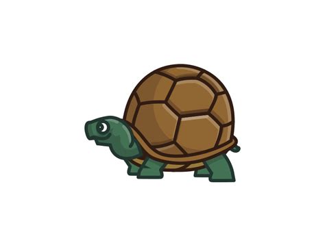 Turtle Animation gif by Jake Fleming on Dribbble