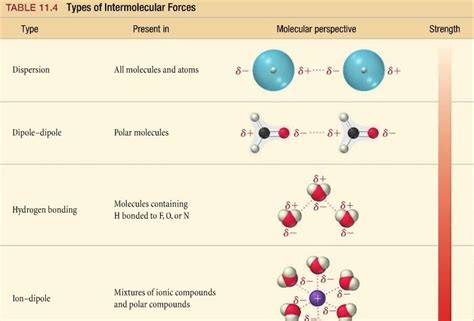 Pin by Katia Mtz Herrera on Química | Intermolecular force, Study ...