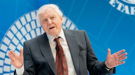 David Attenborough Calls For Ban on Deep-Sea Mining - EcoWatch