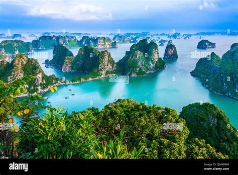 Panoramic view of Ha Long Bay Stock Photo - Alamy