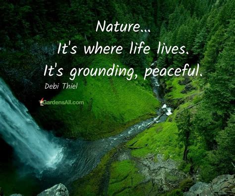 Cool Quotes About Peace And Nature Ideas - Pangkalan