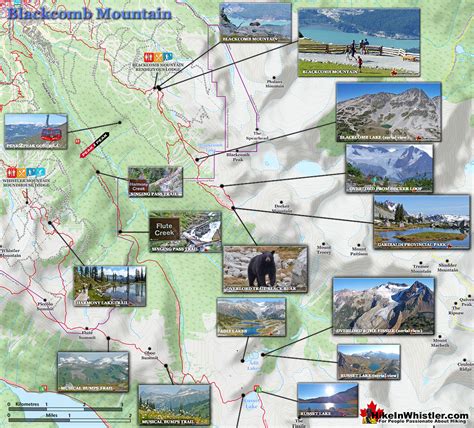 Navigating The Peaks: A Comprehensive Guide To Whistler Blackcomb’s ...