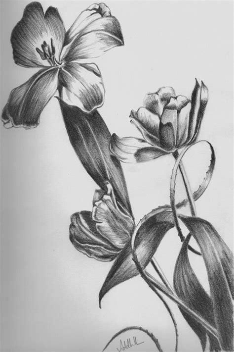 50 Easy Flower Pencil Drawings For Inspiration | Flower sketch pencil ...