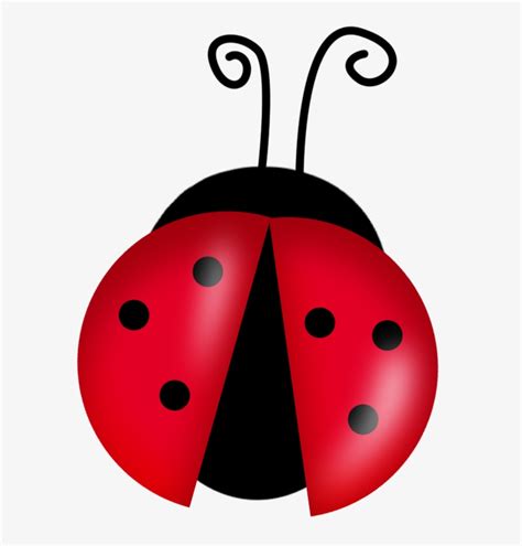 Cute Ladybugs Clipart - Cartoon Ladybug - Free Transparent PNG Download ...