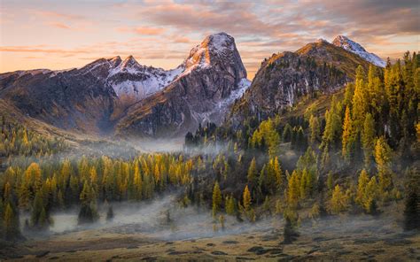 Early Morning Fog in Mountain Forezt - Image Abyss