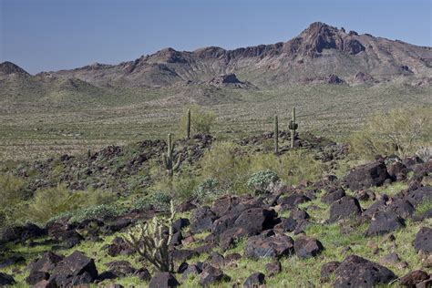 Big Horn Mountains Wilderness | This 21,000-acre wilderness … | Flickr