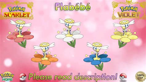 Shiny/non-shiny Flabébé/floette Forms 6IV Pokémon Scarlet/violet 100% ...