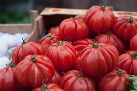 Growing Heirloom Tomatoes in a Container Garden - ilovetomatoes.com