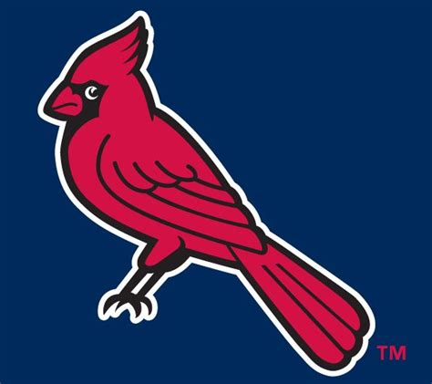 Memphis Redbirds | Sport logo design, Memphis, ? logo