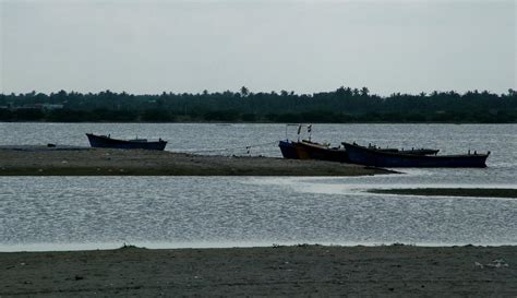 SILVER BEACH - CUDDALORE Photos, Images and Wallpapers, HD Images, Near ...