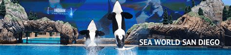 SeaWorld San Diego Review – Get The Best Out Of Your Trip To SeaWorld ...