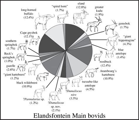 The relative representation of bovid species in the EFTM fauna, based ...