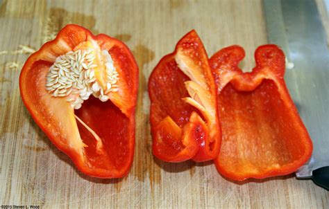 Growing Bell Peppers : How to Grow Bell Peppers Indoors from Seeds