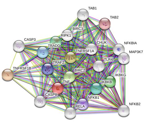 Tnf Structure