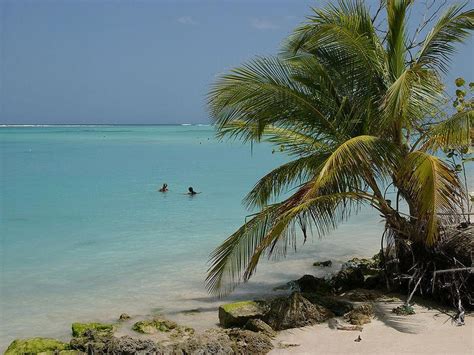 Buccoo Reef in Trinidad And Tobago, TTO - Trip Canvas