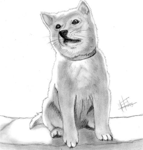 hachiko dibujo by thehachikodog on DeviantArt