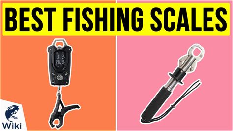 Top 10 Fishing Scales of 2021 | Video Review