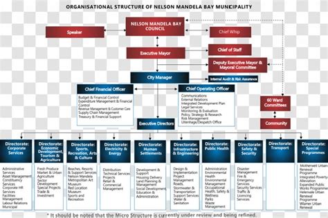 Organizational Chart Metropolitan Municipality Nelson Mandela Art ...