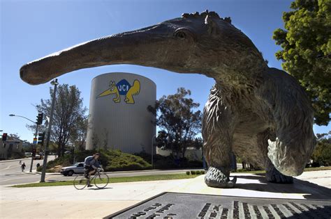 Campus Housing Giant Tells UC-Irvine Students They Can Terminate Leases ...