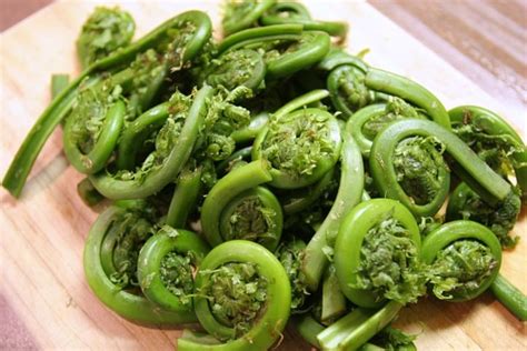 Fiddlehead Season Is So Close, But True Mainers Can Hardly Wait