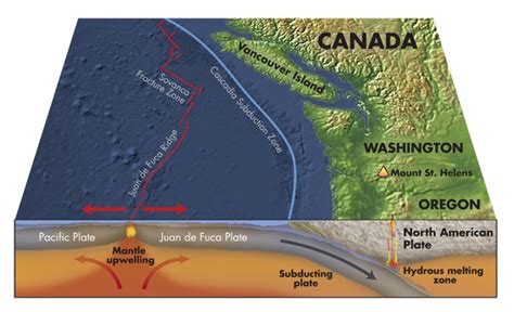 Unlocking the Cascadia Subduction Zone's secrets: Peering into recent ...