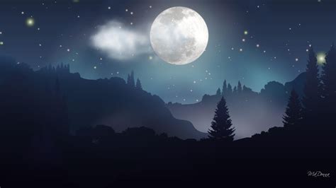 Moonlight forest night - (#153828) - High Quality and Resolution ...