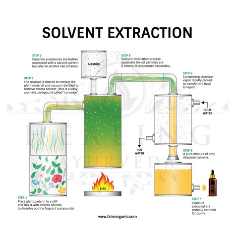 EXTRACTION METHODS - Fairorganic