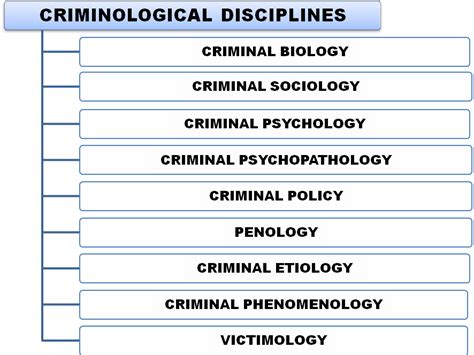 Theoretical criminology: Introduction to criminology- problems when ...