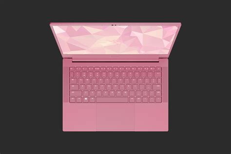 A Pink Razer Laptop - Take My Money