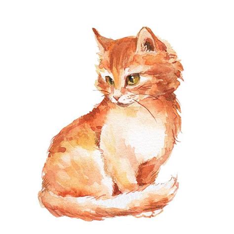 2,700+ Ginger Cat Stock Illustrations, Royalty-Free Vector Graphics ...