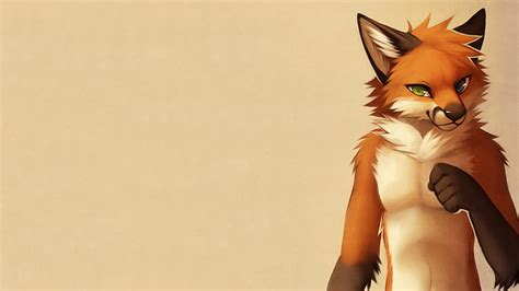 Furry, Cute, Paws, Abstract, Fox, HD wallpaper | Peakpx