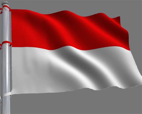 1001 Gambar Animasi Bendera Merah Putih Bergerak | Cikimm.com