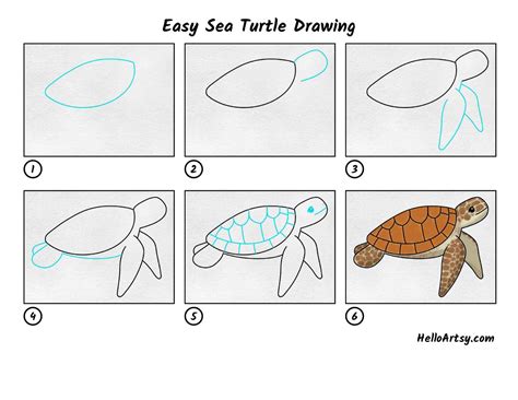 Sea Turtles Drawing