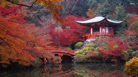 Full Hd P Japan Wallpapers Hd Desktop Backgrounds X - Kyoto Japan 4k ...