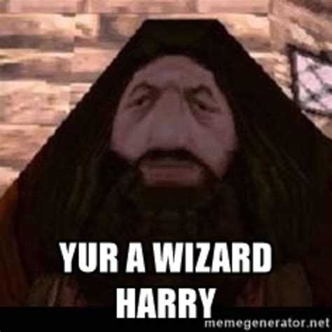 Yr a Wizard Harry | PS1 Hagrid | Know Your Meme