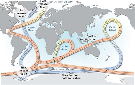 The Atlantic: The driving force behind ocean circulation and our taste ...