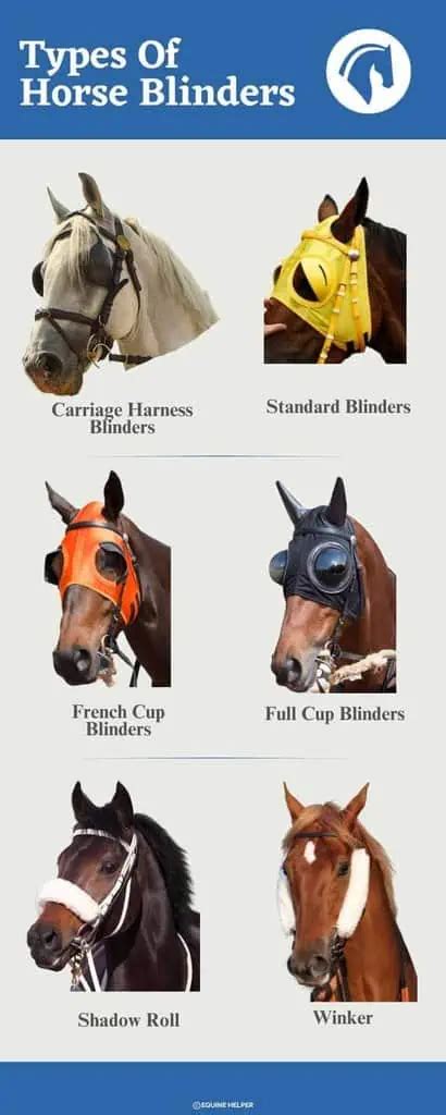 Why Do Horses Wear Blinders? Top Reasons Explained