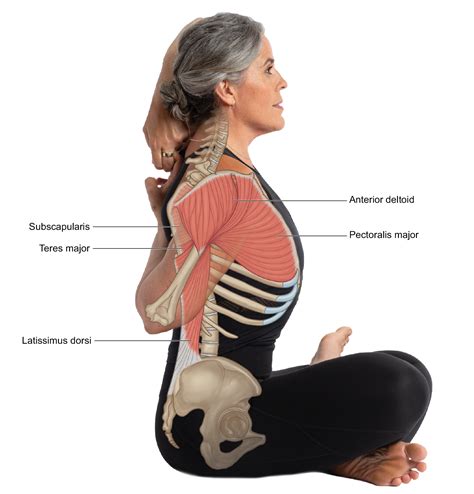 Rotator Cuff Inury & Yoga — Stacy Dockins