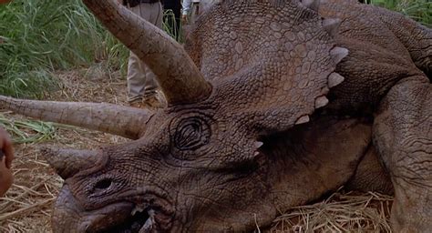 Triceratops (Jurassic Park, The Lost World, Jurassic Park 3)