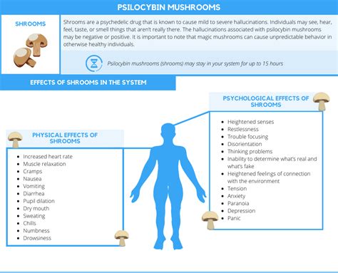 How Long Do Mushrooms Stay in Your System? - CWC Recovery