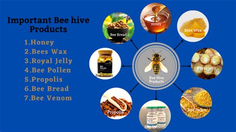 Important Bee Hive Products (Honey, Bees wax, Royal jelly, Bee pollen ...