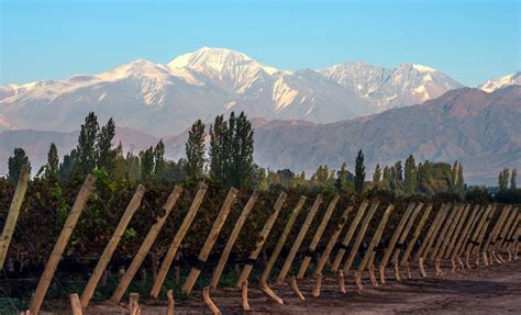 Ultimate Guide to Mendoza: Wine Country in the Argentine Andes | kimkim