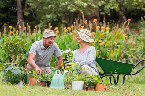 Best New Hobbies for Seniors to Learn - Heritage Woods