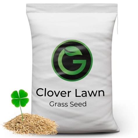 Clover Lawn Seed – Garden Lawncare Guy