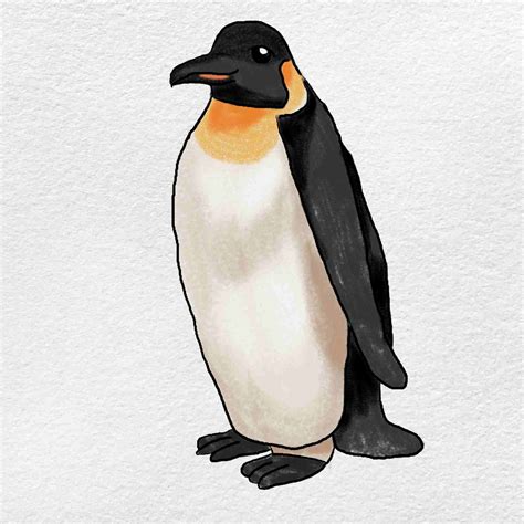 Emperor Penguin Drawing - HelloArtsy