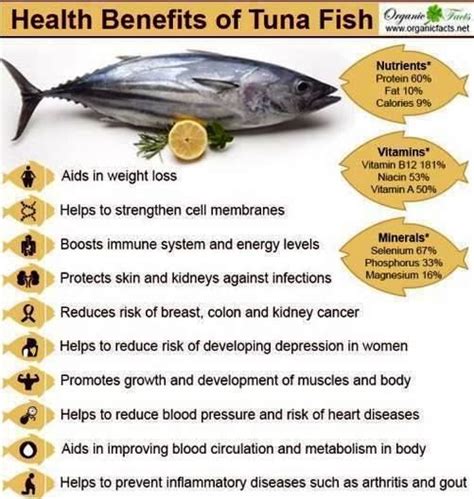 Tuna Benefits! | Tuna health benefits, Tuna benefits, Nutrition recipes