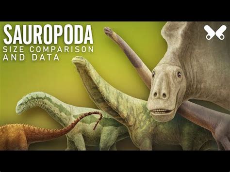 SAUROPODS .Dinosaur size comparison and data - YouTube