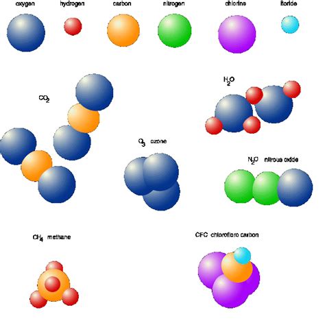 Biochemistry/Diffusion/Osmosis/Body Systems: May 2013