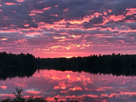 Partnership agreement to protect Loon Lake wetland in Frontenac County