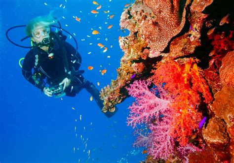 Scuba diving | Britannica